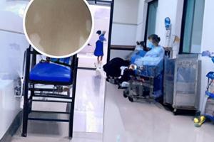 转移因子口服液治疗白斑喝多久为一个疗程