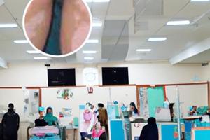 阿法诺肽国内什么时候上市最新消息