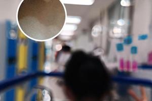 白癜风免疫系统紊乱可以用他克莫司软膏吗