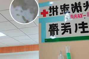 复方斑蝥胶囊怎么吃