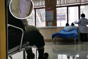 补骨脂怎么食用方法