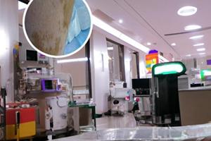 他克莫司软膏涂多久才见效