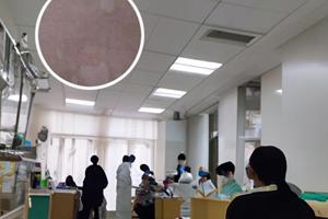 补骨脂是起什么作用的